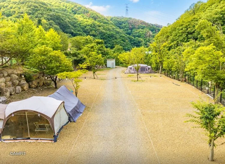 양남 라라캠핑장 — 경북 경주의 오토캠핑 전경