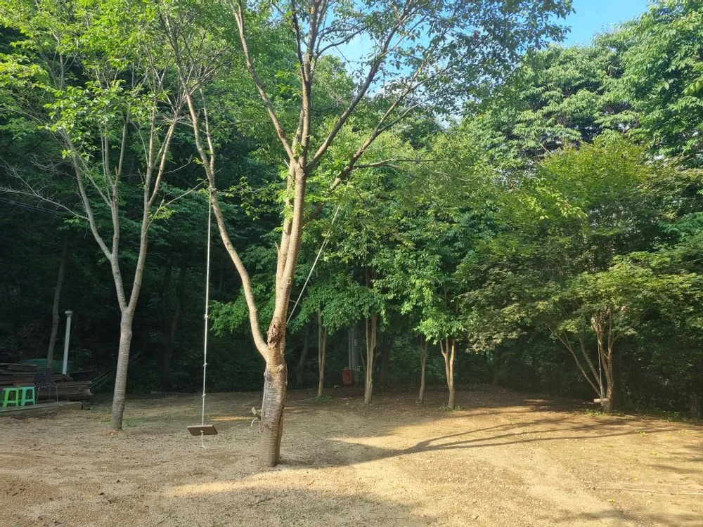 단체 숙소 내부 또는 단체 모임 공간 장면