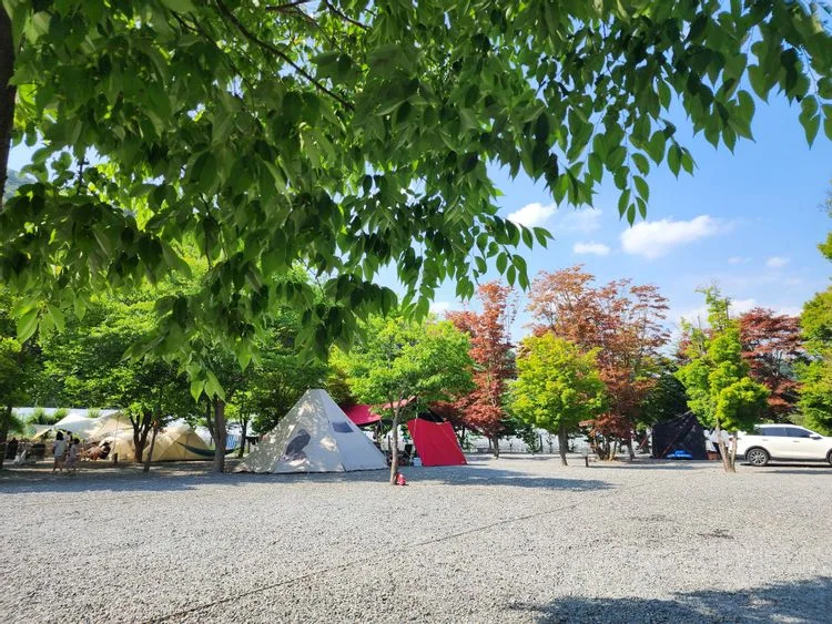 영월 두산분교캠핑장 — 강원 영월의 오토캠핑 전경