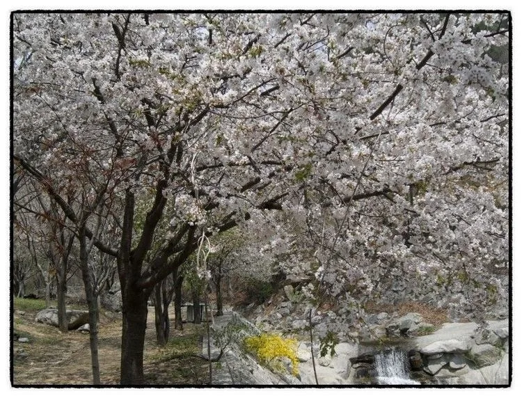 김천 캠핑장 전망