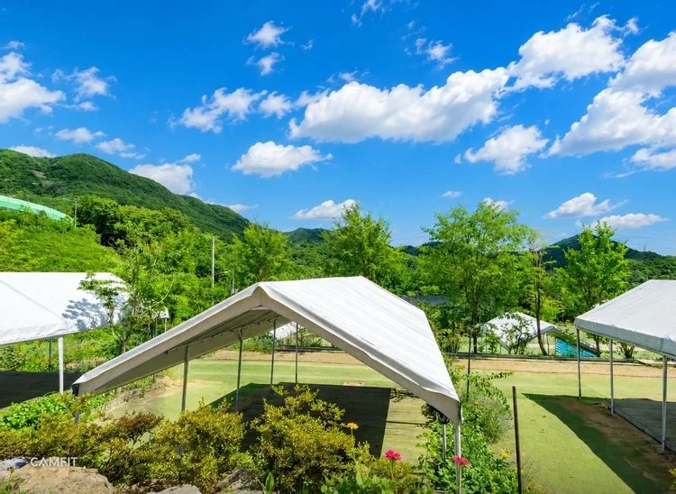 두물머리 IC 캠핑장 — 경기 양평의 오토캠핑 전경