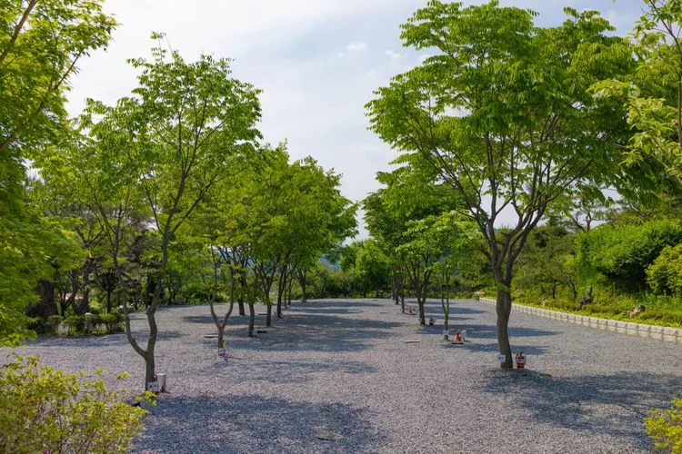 연천와캠핑글램핑 — 경기 연천의 오토캠핑 · 글램핑 전경