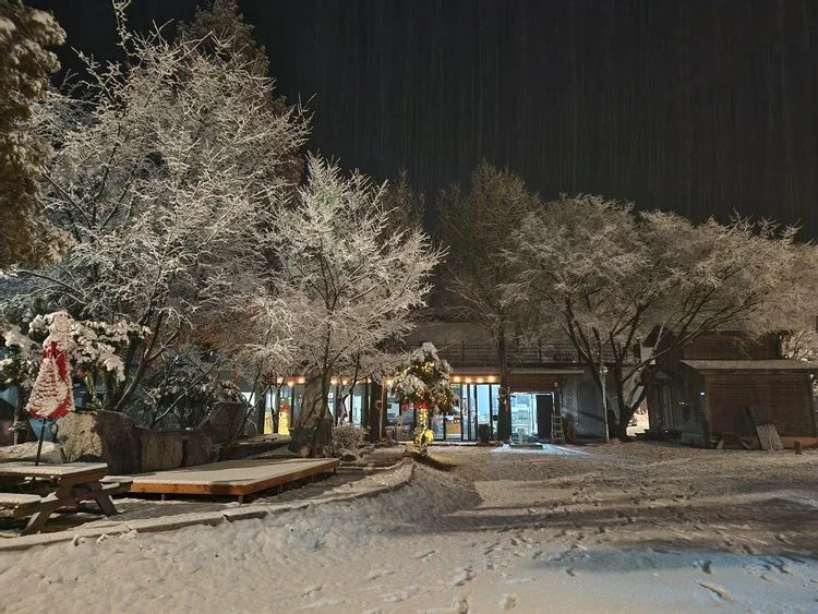 양평몽캠핑장 — 경기 양평의 오토캠핑 · 펜션 전경