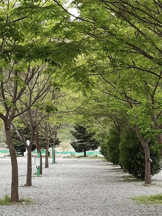 영월 다그린캠핑장 — 강원 영월의 펜션 · 방갈로 · 오토캠핑 전경