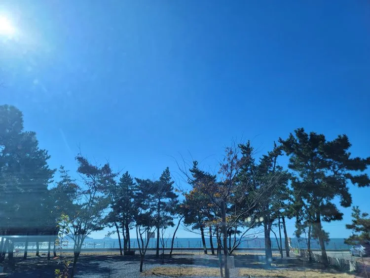 어은돌캠프캠프 — 충남 태안의 오토캠핑 · 방갈로 전경