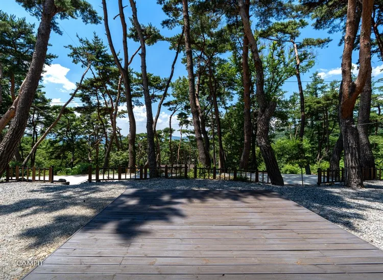 솔베이오토캠핑장 — 충북 괴산의 오토캠핑 · 펜션 전경