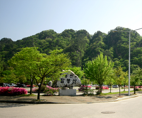 고요한아침강가 & 스톤엑스 캠핑장 메인 전경 - 강원 주말 반려견 캠핑장