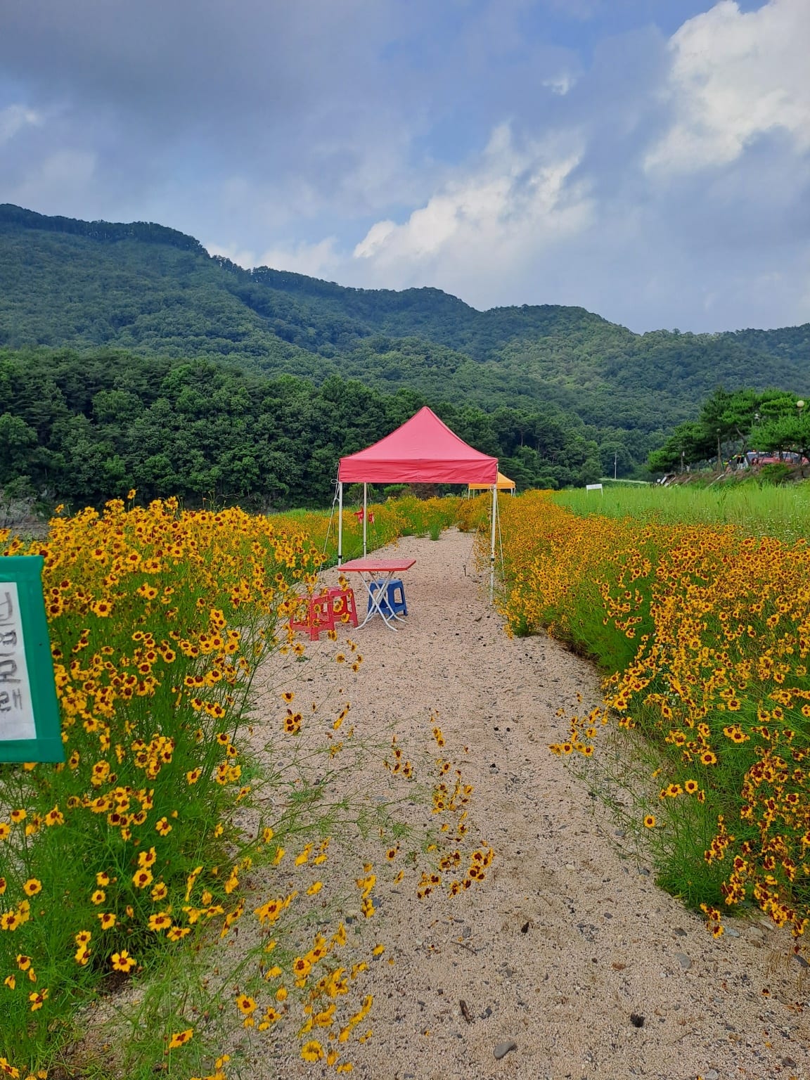 캠핑사이트