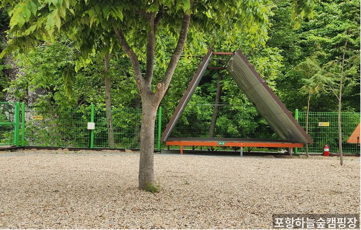 포항하늘숲캠핑장 배너 이미지 — 캠핑장 전체 분위기