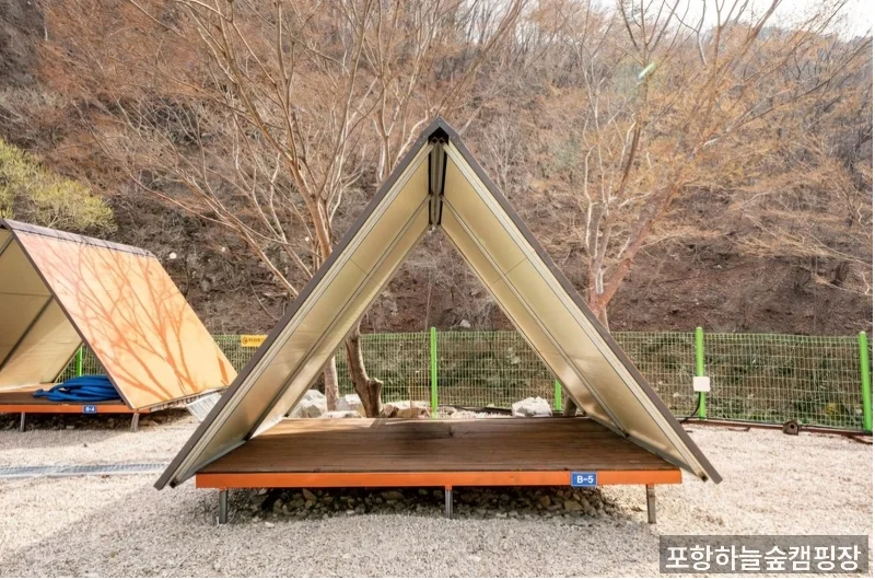 포항하늘숲캠핑장 자연 경관 — 나무와 녹지 배경의 캠핑 부지 전경