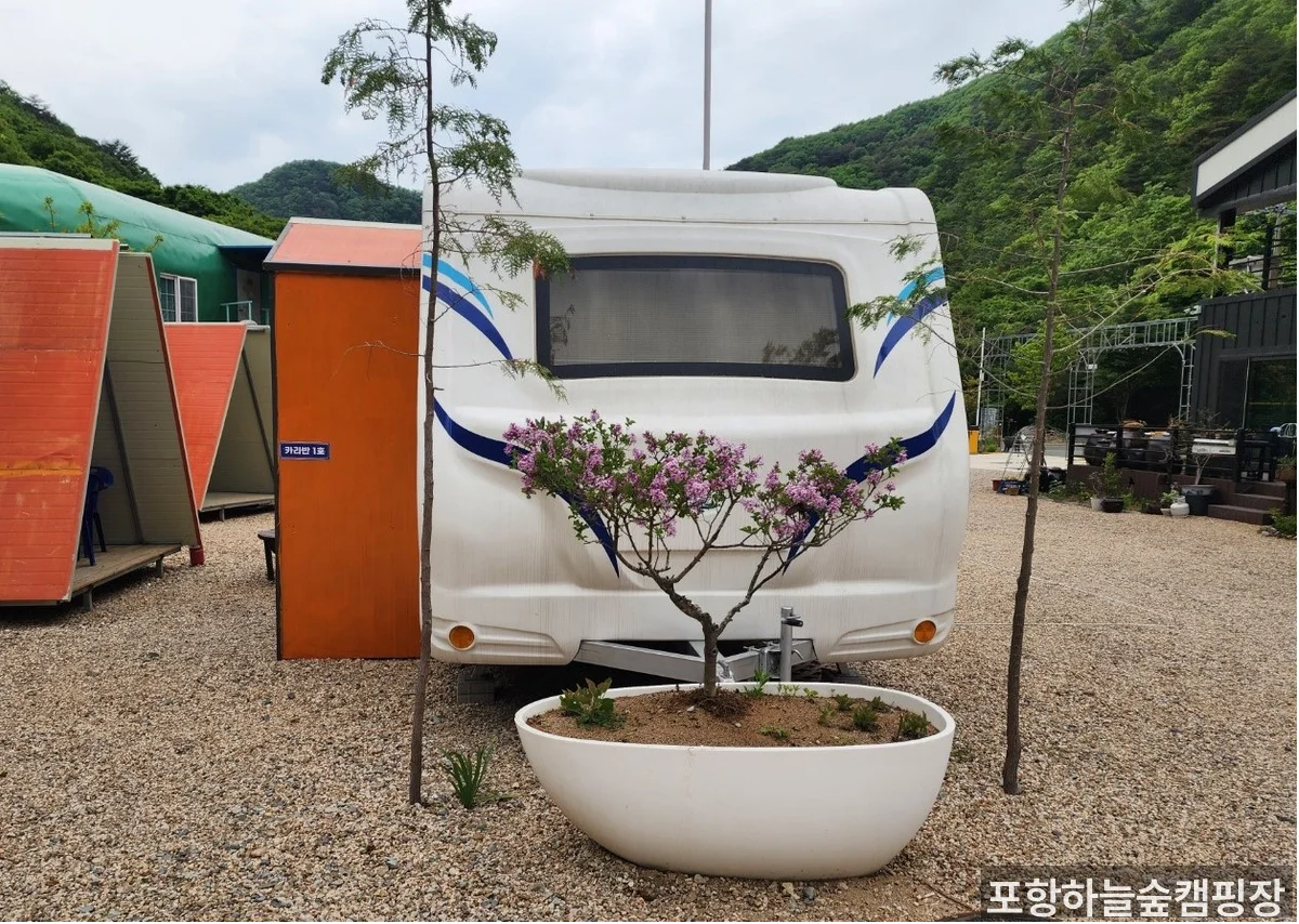포항하늘숲캠핑장 부지 내 조경 공간