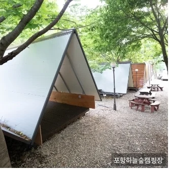 포항하늘숲캠핑장 반려견 도그런 시설 - 반려견 동반 캠핑 추천