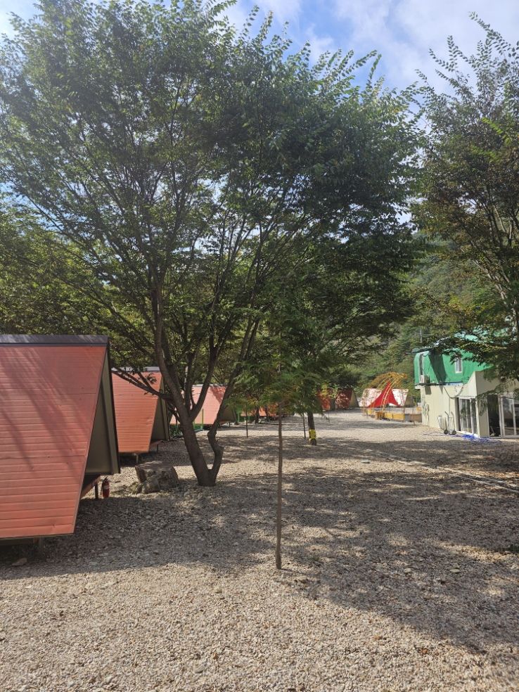 대구 근교 가을 바베큐 독채 펜션, 포항까지 가볼 만한 이유