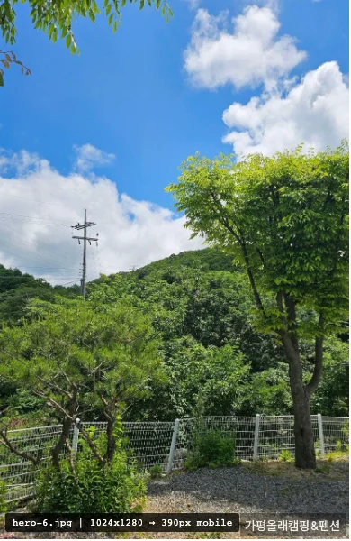 캠핑장 사이트 전경