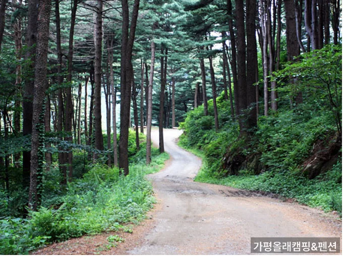 가평올래캠핑&펜션 부지 — 가평 계곡 옆 펜션 숙소 선택 기준