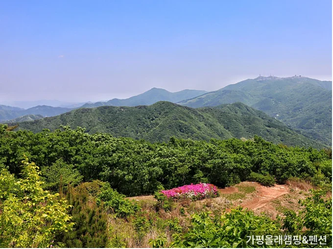 가평 계곡 주변 자연 풍경 — 계곡 좋은 가평 펜션