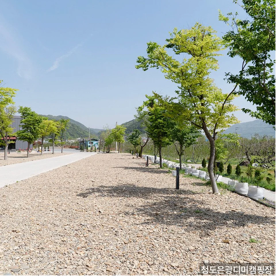 청도은광디미캠핑장 주변 암벽 뷰와 자연 풍경