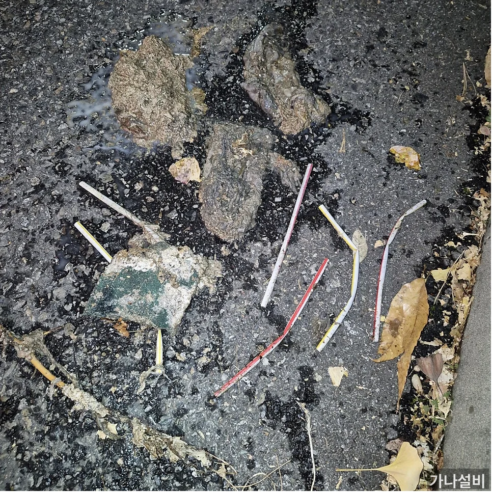 시공 과정