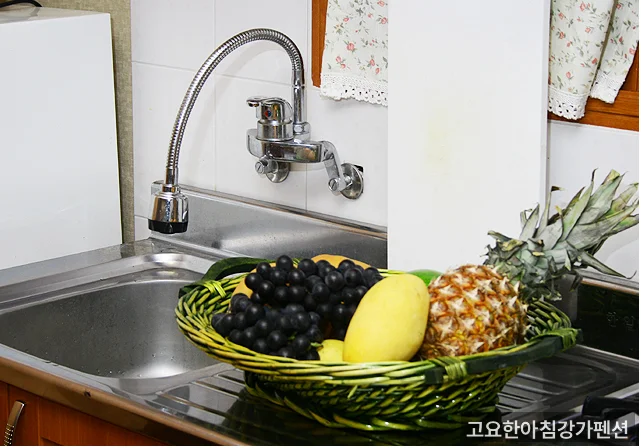 고요한아침강가펜션 주변 전경 — 홍천 강가 풍경