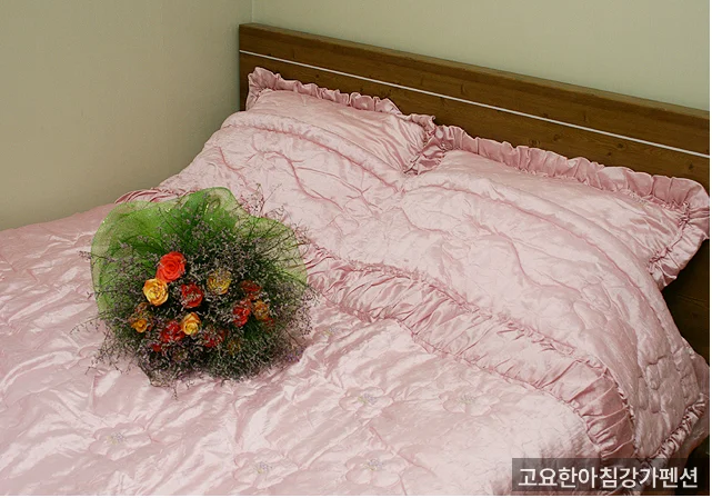 고요한아침강가펜션 메인 전경