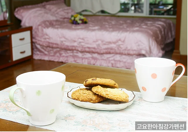 고요한아침강가펜션 강변 공간 — 강가 주변 야외 공간