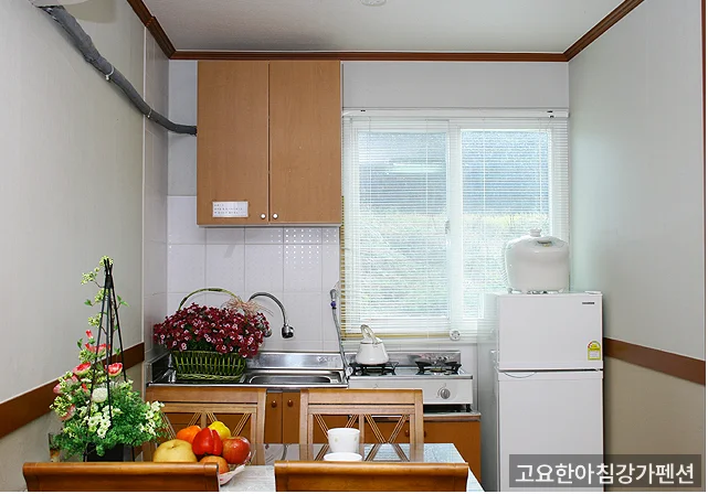 고요한아침강가펜션 강가 전경 — 강변을 바라보는 펜션 전경