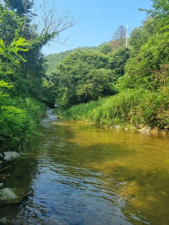 김천 캠핑장 주변 풍경