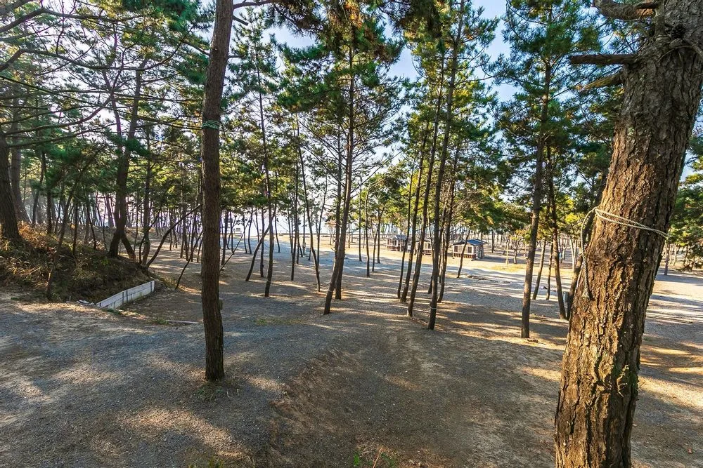 태안 캠핑장 주변 풍경