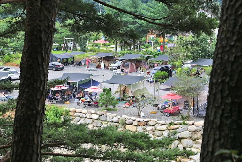 산과 녹지를 배경으로 한 야외 환경