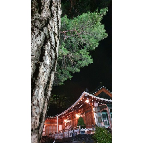 낙산해수욕장 가는 길