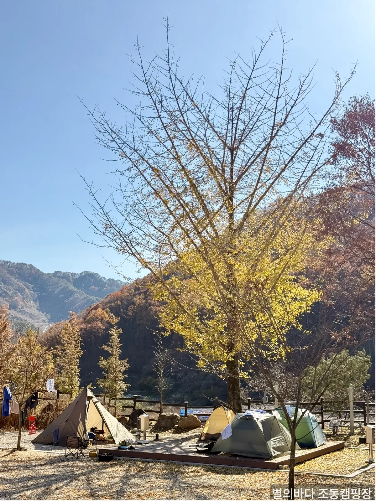 별의바다 조동캠핑장 사이트 전경