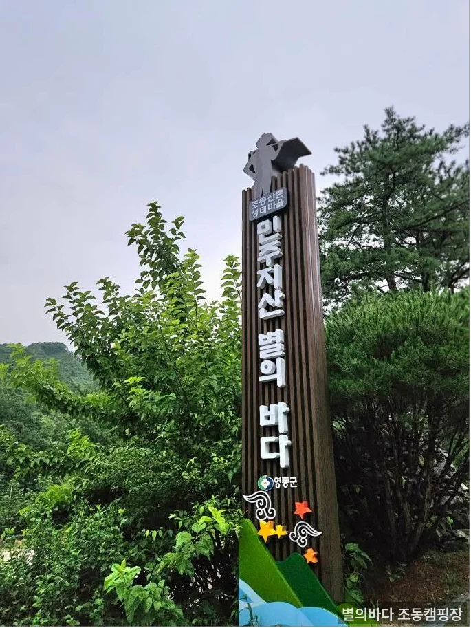 별의바다 조동캠핑장 외부 사이트 전경 — 오토캠핑 사이트 배치와 주변 녹지