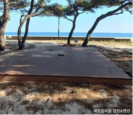 해빛뜰마을 캠핑&펜션 외관 - 울진 독채 펜션 가을 분위기