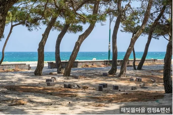 해빛뜰마을 캠핑&펜션 야외 공간 - 반려견 동반 가능 울진 펜션