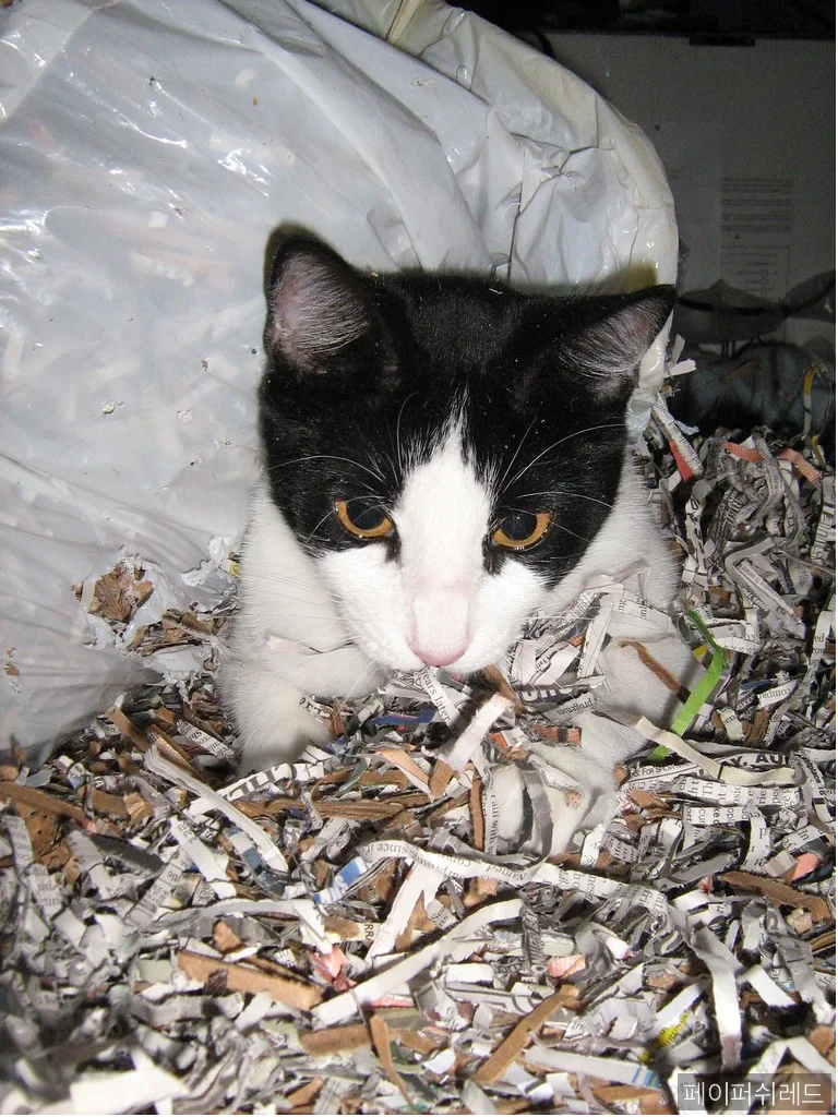 현장
