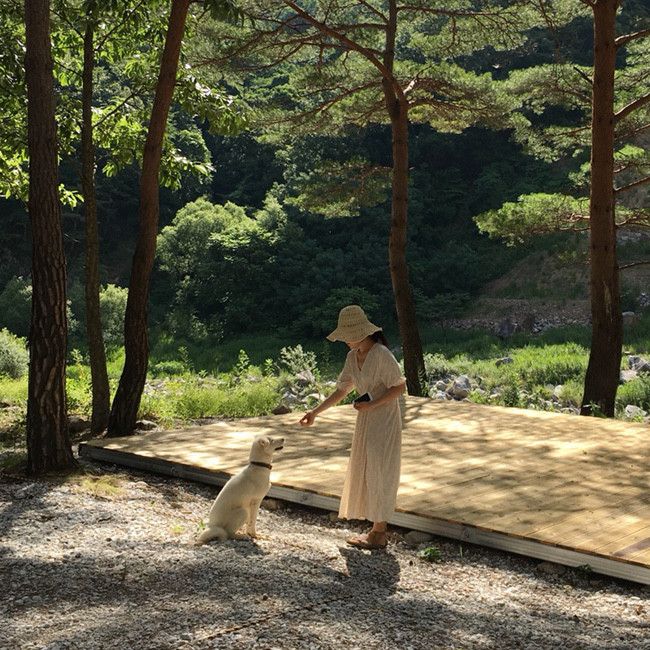 A존 시설