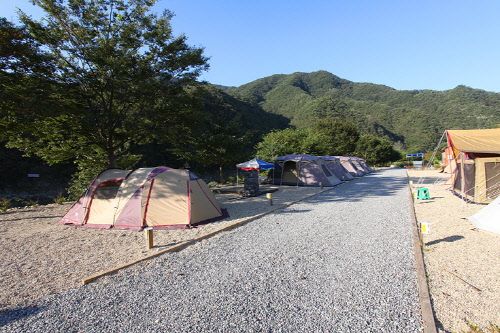 금계국 들꽃 산책길